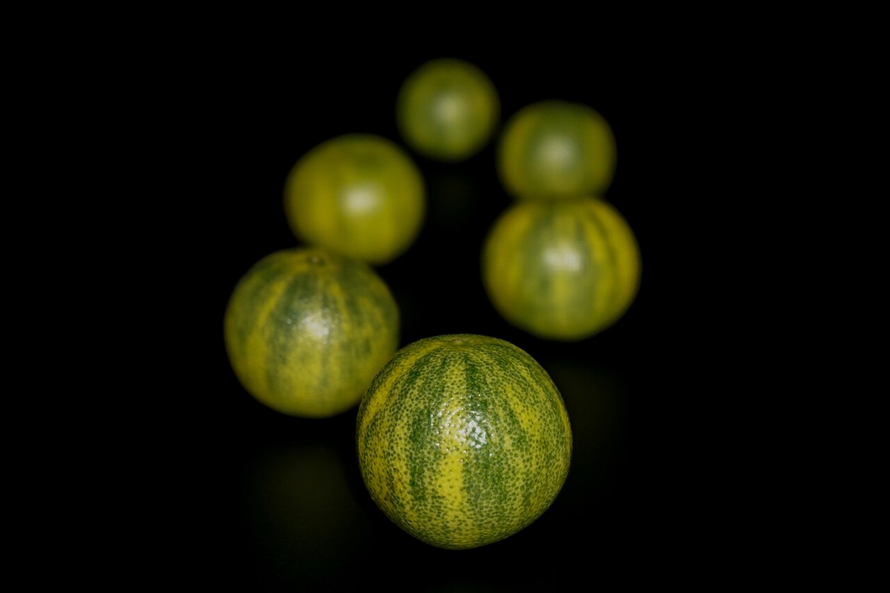Assortiment d'agrumes colorés