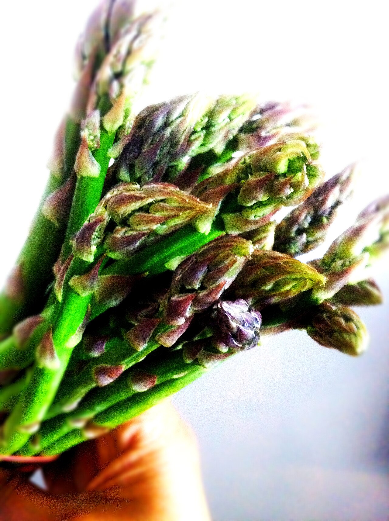 Une botte d'asperges vertes fraîches, fermes et brillantes.