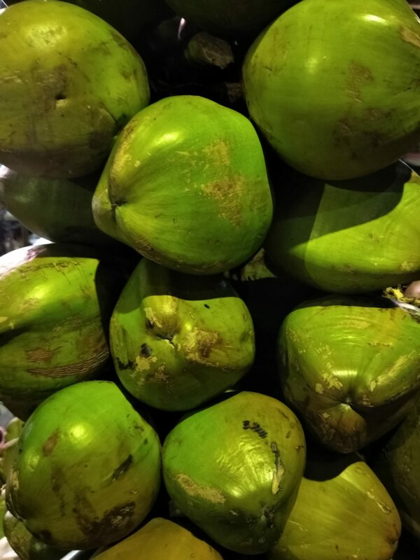 Eau de coco fraîche