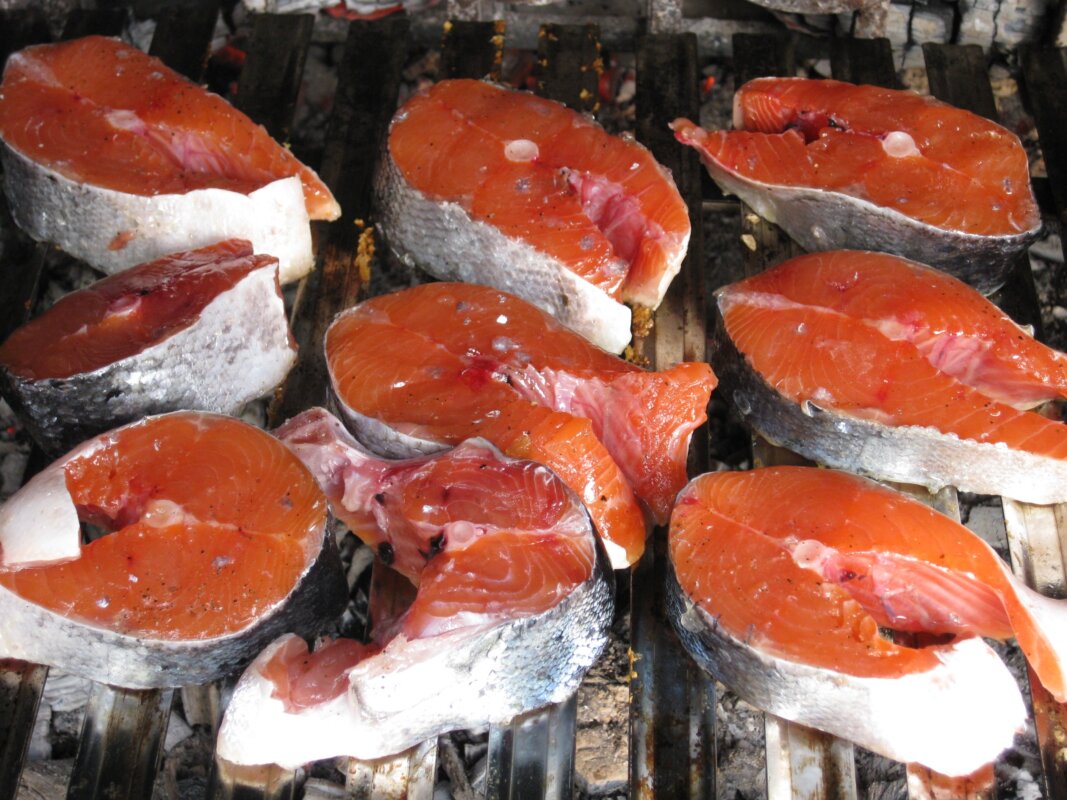 Pavé de saumon frais