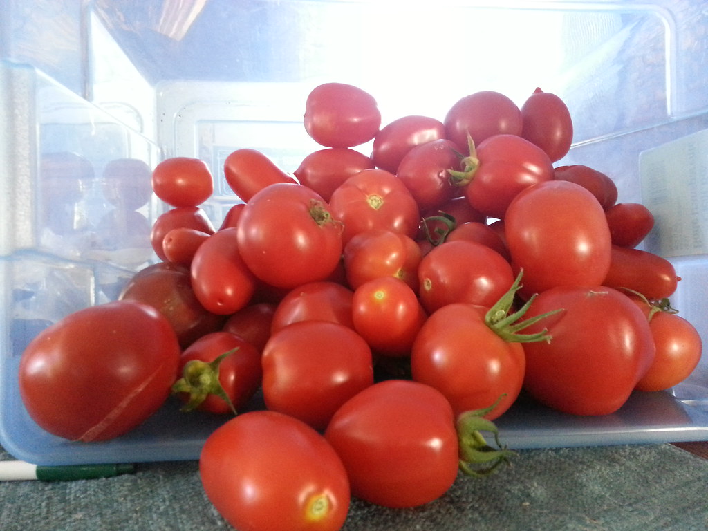 Des tomates bien mûres : la sauce ne fait que concentrer leur goût.