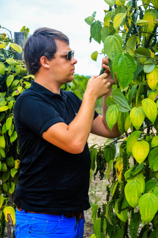 Arnaud Sion dans une plantation de poivre au Brésil