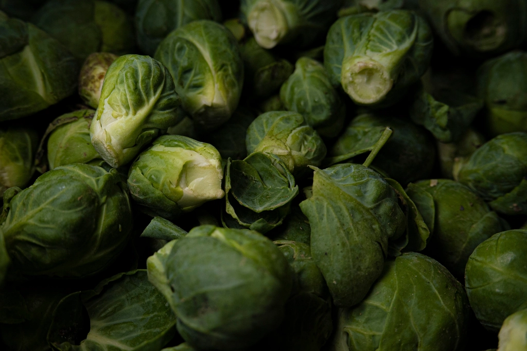 Choux de Bruxelles frais